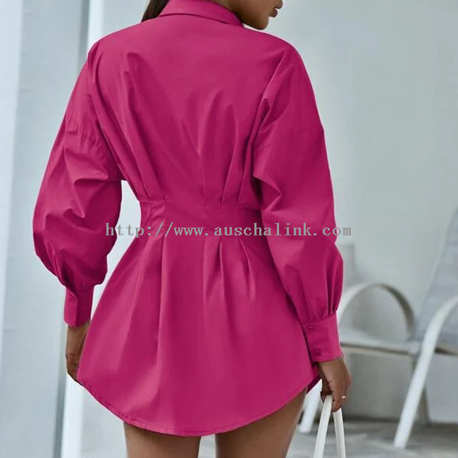 Autumn Lapel Button Front Pleated Waist Drop Shoulder Long Sleeve Loose Shirt Blouse for Women